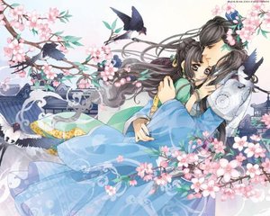 芒果回家永久导航入口